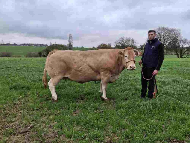 Producteur de viande, Vallesvilles, Ferme Le Clavel