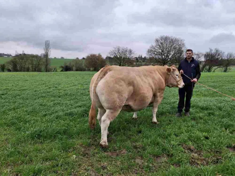 Producteur de viande, Vallesvilles, Ferme Le Clavel