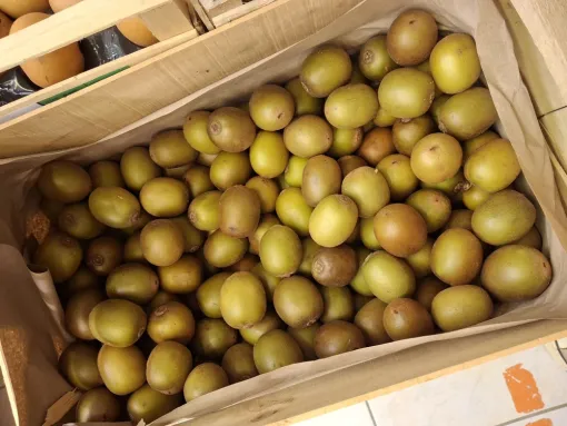 Où trouver les premiers kiwis jaunes de la saison, Vallesvilles, Ferme Le Clavel