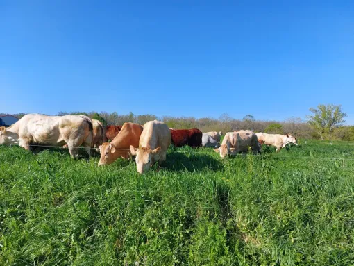 L'importance de manger local, Vallesvilles, Ferme Le Clavel