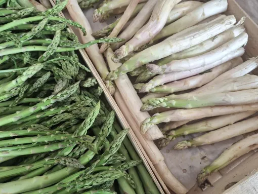 Profitez en c'est bientôt la fin de la saison des asperges, Vallesvilles, Ferme Le Clavel
