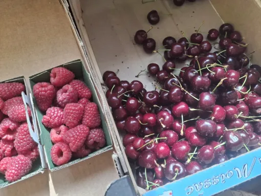 Les fruits de printemps à la Ferme Le Clavel, Vallesvilles, Ferme Le Clavel