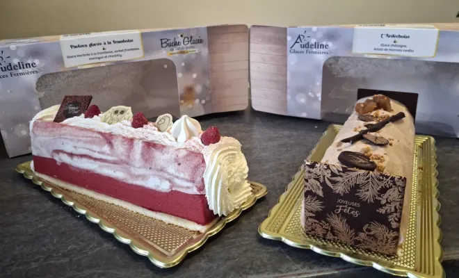 Promotion exceptionnelle sur nos bûches glacées aujourd'hui et demain, Vallesvilles, Ferme Le Clavel