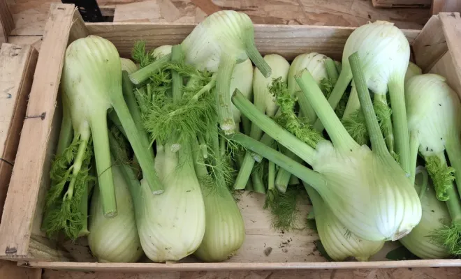 Les légumes de printemps arrivent enfin à Ferme Le Clavel, Vallesvilles, Ferme Le Clavel