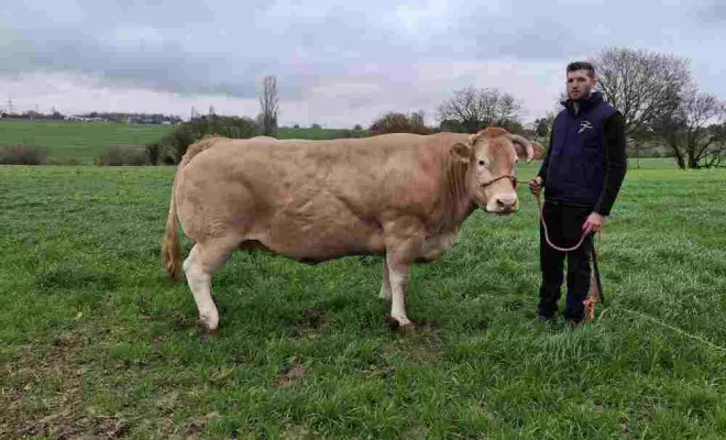 Producteur de viande, Vallesvilles, Ferme Le Clavel
