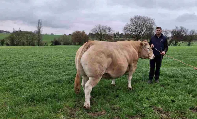 Producteur de viande, Vallesvilles, Ferme Le Clavel